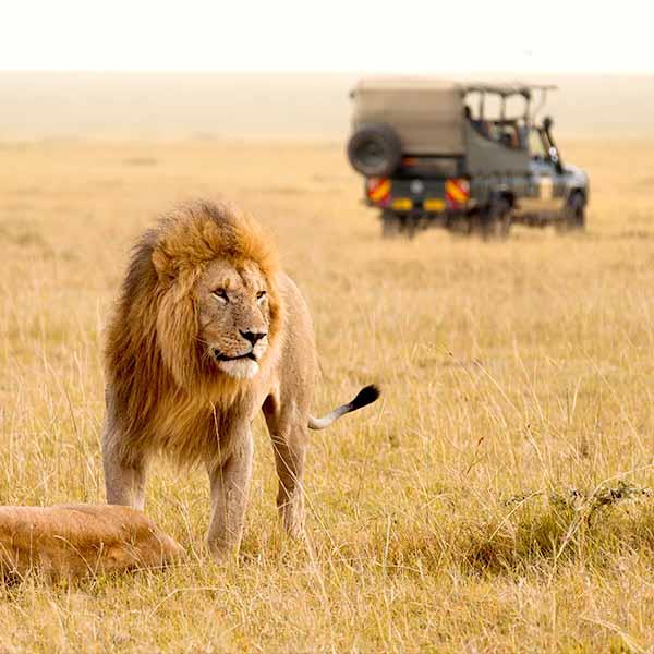 Africa Safari Tour
