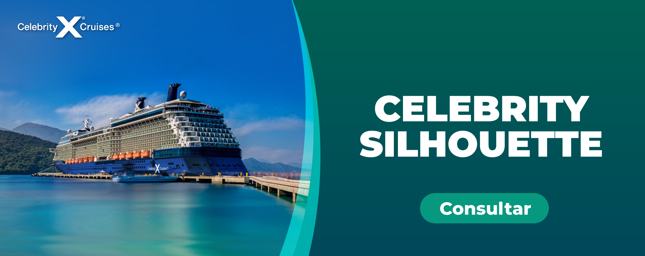 banner-web-celebrity-silhouette