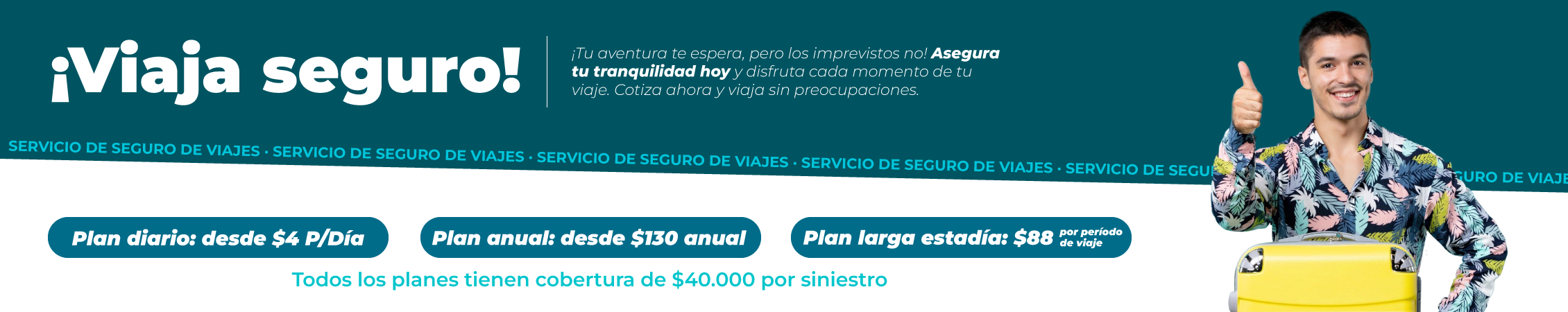 seguro-banner-web2