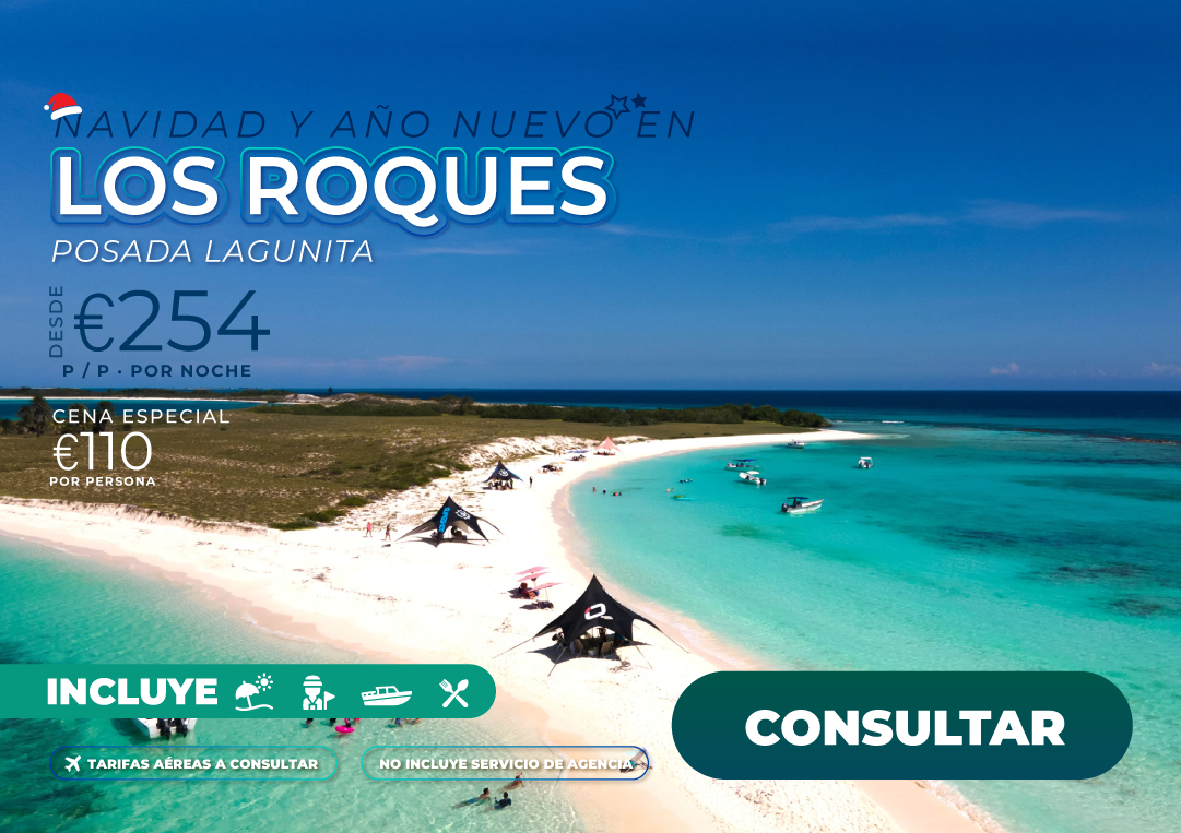 navidad-lagunita-website